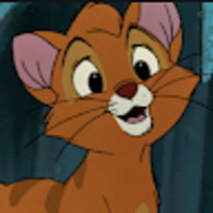 Meet your Posher, Claire anne